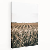 Farmhouse Wall Art: Golden Crops in the Field, Rustic Country Decor