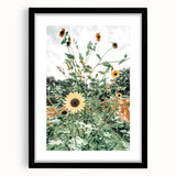 Farmhouse Wall Art: Bright Sunflowers in Bloom, Rustic Country Decor