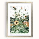 Farmhouse Wall Art: Bright Sunflowers in Bloom, Rustic Country Decor