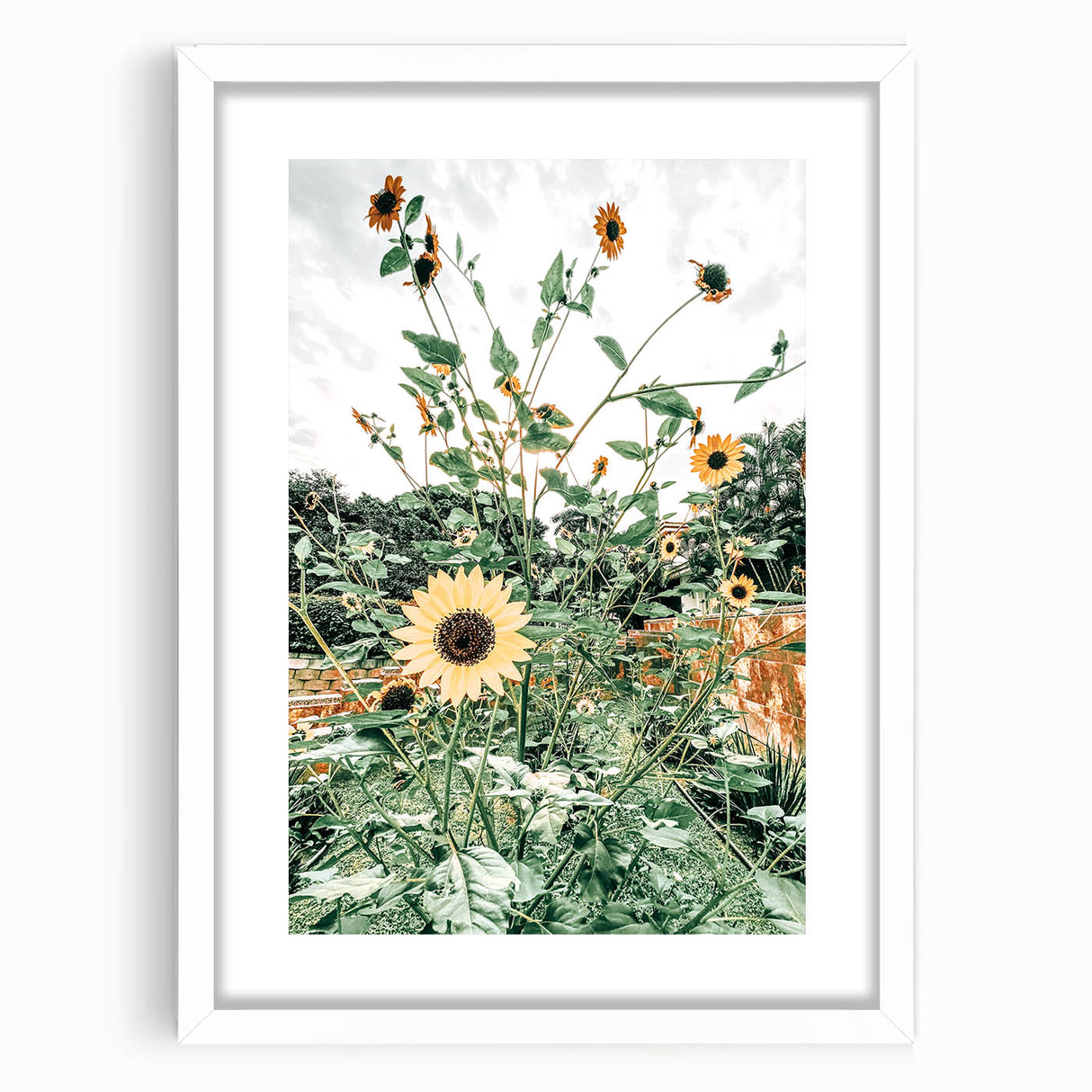 Farmhouse Wall Art: Bright Sunflowers in Bloom, Rustic Country Decor