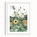 Farmhouse Wall Art: Bright Sunflowers in Bloom, Rustic Country Decor