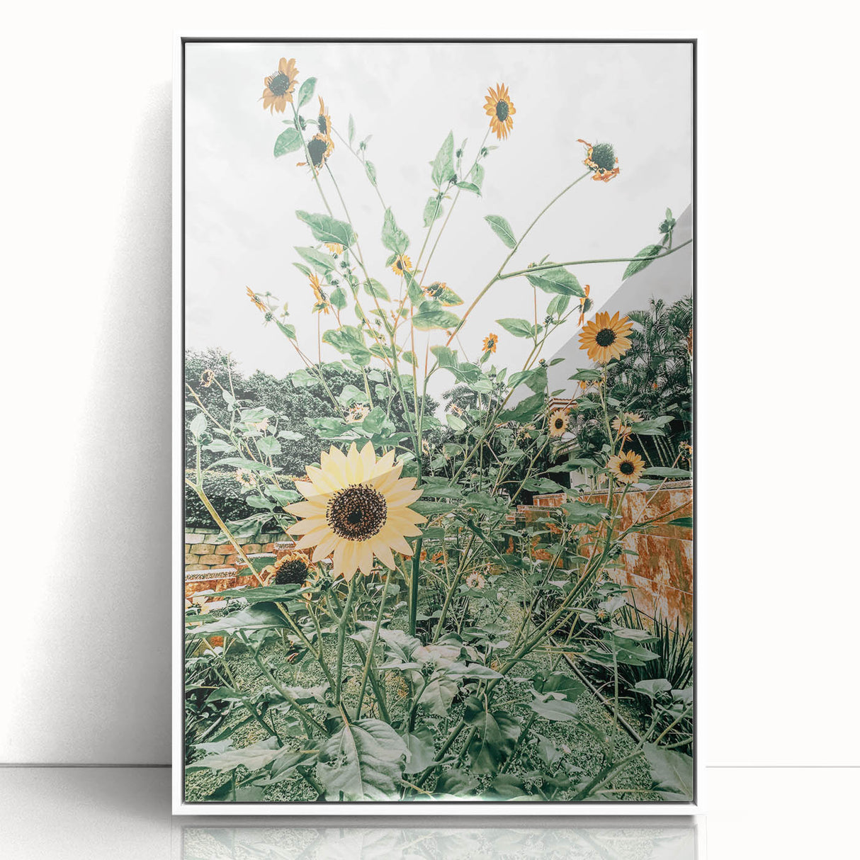 Farmhouse Wall Art: Bright Sunflowers in Bloom, Rustic Country Decor