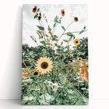 Farmhouse Wall Art: Bright Sunflowers in Bloom, Rustic Country Decor