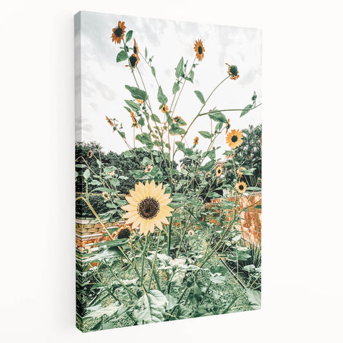 Farmhouse Wall Art: Bright Sunflowers in Bloom, Rustic Country Decor