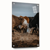 Country Style Farmhouse Wall Art | Cattle Print | Rustic Farmhouse Decor