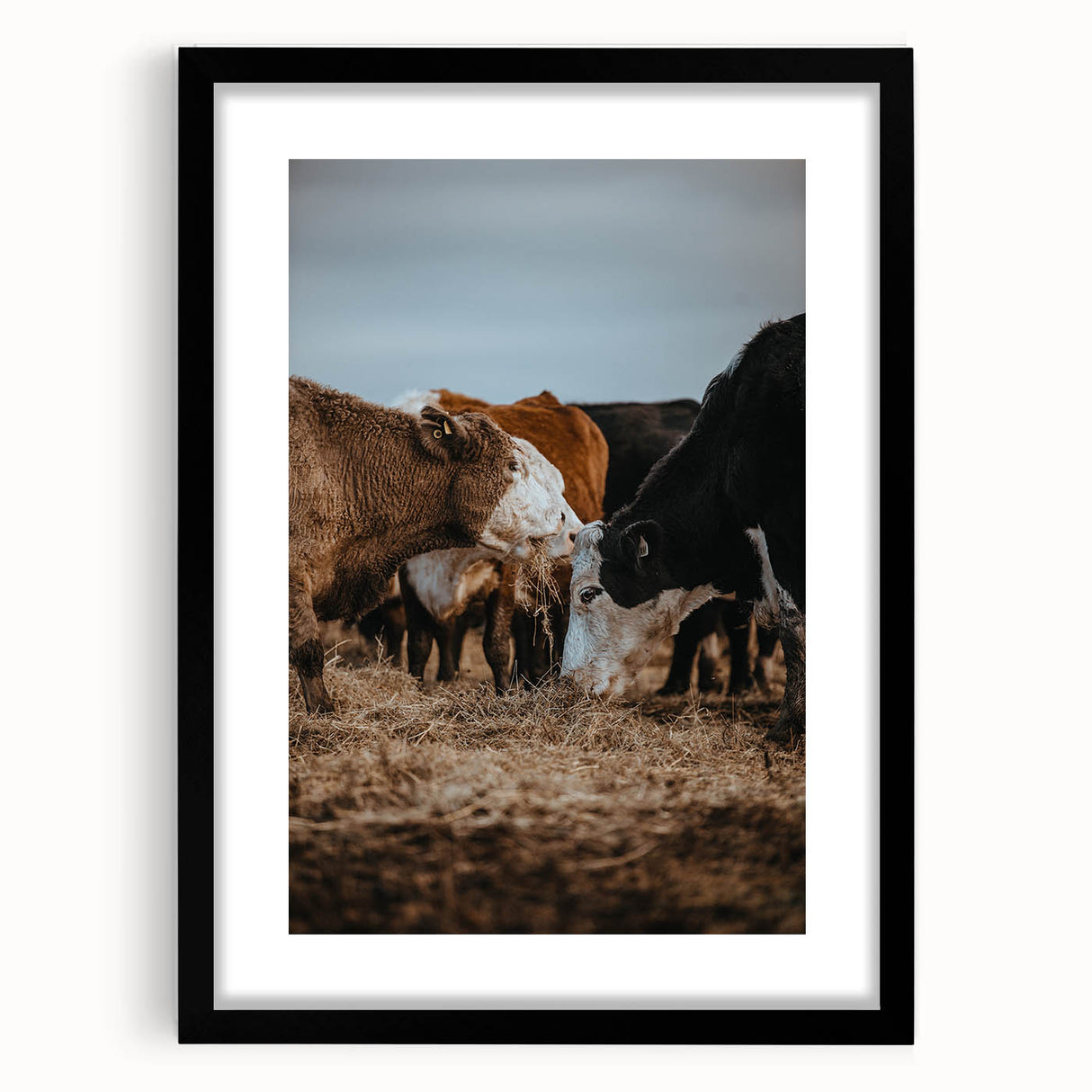 Country Style Farmhouse Wall Art | Cattle Print | Rustic Farmhouse Decor