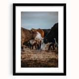 Country Style Farmhouse Wall Art | Cattle Print | Rustic Farmhouse Decor