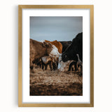 Country Style Farmhouse Wall Art | Cattle Print | Rustic Farmhouse Decor