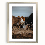 Country Style Farmhouse Wall Art | Cattle Print | Rustic Farmhouse Decor