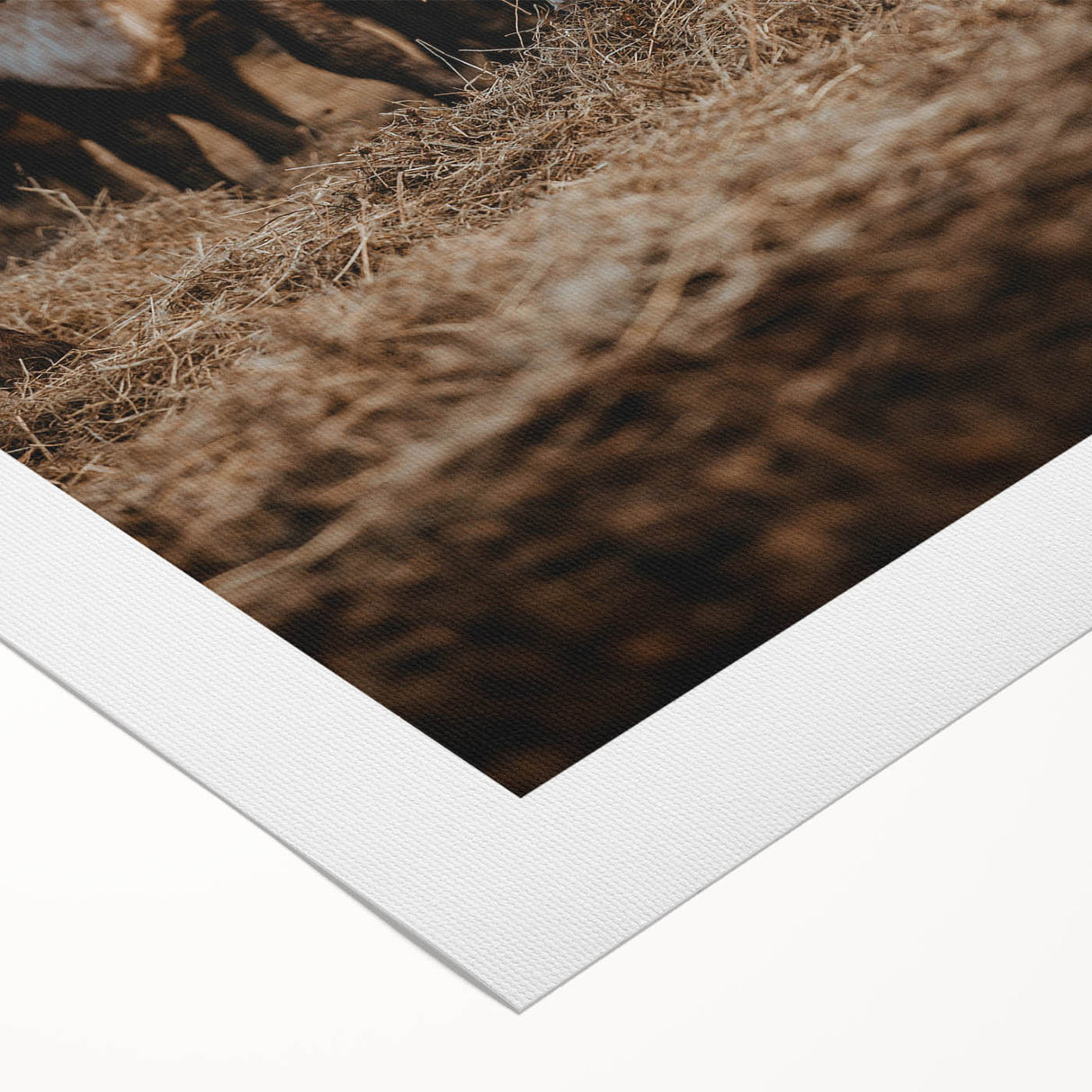 Country Style Farmhouse Wall Art | Cattle Print | Rustic Farmhouse Decor