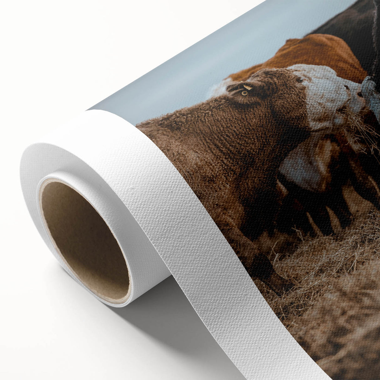 Country Style Farmhouse Wall Art | Cattle Print | Rustic Farmhouse Decor