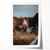 Country Style Farmhouse Wall Art | Cattle Print | Rustic Farmhouse Decor