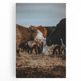 Country Style Farmhouse Wall Art | Cattle Print | Rustic Farmhouse Decor