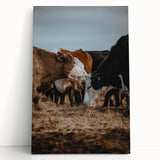 Country Style Farmhouse Wall Art | Cattle Print | Rustic Farmhouse Decor