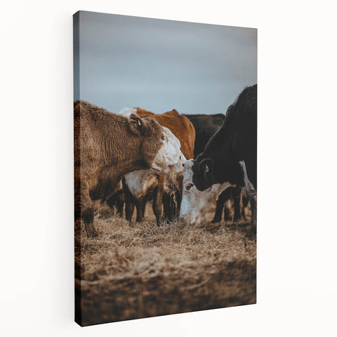 Country Style Farmhouse Wall Art | Cattle Print | Rustic Farmhouse Decor