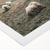 Farmhouse Sheep Mountain Art – Rustic Country Style Wall Decor