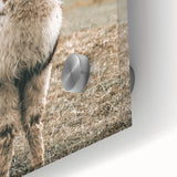 Farmhouse Alpaca Wall Art – Rustic Country Style Animal Decor