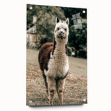 Farmhouse Alpaca Wall Art – Rustic Country Style Animal Decor