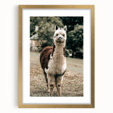 Farmhouse Alpaca Wall Art – Rustic Country Style Animal Decor