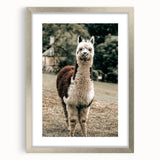 Farmhouse Alpaca Wall Art – Rustic Country Style Animal Decor