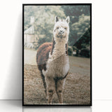 Farmhouse Alpaca Wall Art – Rustic Country Style Animal Decor