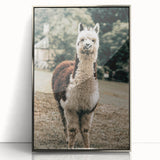 Farmhouse Alpaca Wall Art – Rustic Country Style Animal Decor