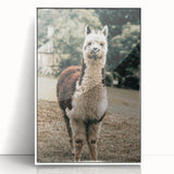 Farmhouse Alpaca Wall Art – Rustic Country Style Animal Decor