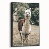 Farmhouse Alpaca Wall Art – Rustic Country Style Animal Decor
