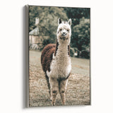 Farmhouse Alpaca Wall Art – Rustic Country Style Animal Decor