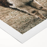 Farmhouse Alpaca Wall Art – Rustic Country Style Animal Decor