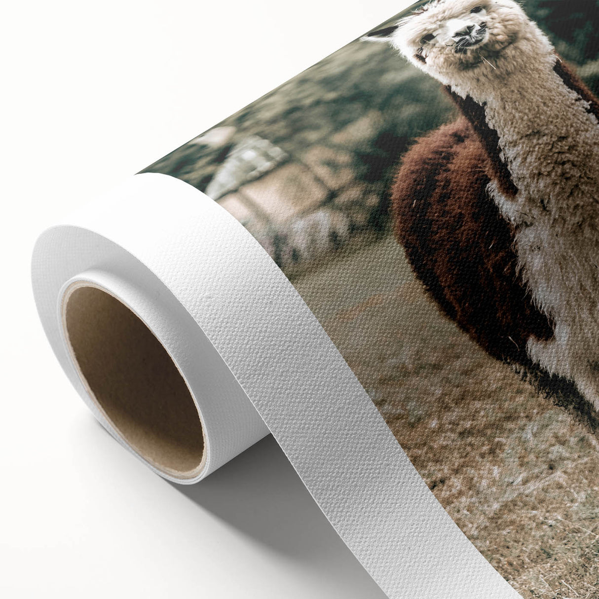Farmhouse Alpaca Wall Art – Rustic Country Style Animal Decor