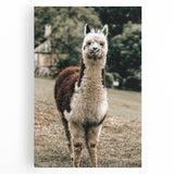 Farmhouse Alpaca Wall Art – Rustic Country Style Animal Decor