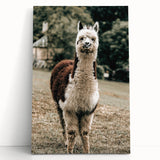 Farmhouse Alpaca Wall Art – Rustic Country Style Animal Decor