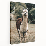 Farmhouse Alpaca Wall Art – Rustic Country Style Animal Decor