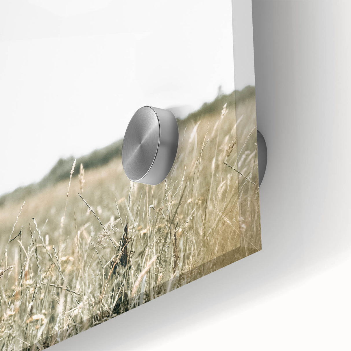 Farmhouse Cow Wall Art – Rustic Country Style Farm Animal Decor