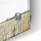 Farmhouse Cow Wall Art – Rustic Country Style Farm Animal Decor