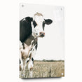 Farmhouse Cow Wall Art – Rustic Country Style Farm Animal Decor
