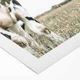 Farmhouse Cow Wall Art – Rustic Country Style Farm Animal Decor