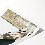 Farmhouse Cow Wall Art – Rustic Country Style Farm Animal Decor