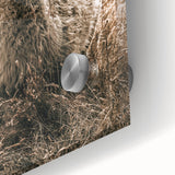 Farmhouse Alpaca in Field Art – Rustic Country Style Wall Decor