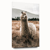 Farmhouse Alpaca in Field Art – Rustic Country Style Wall Decor