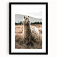 Farmhouse Alpaca in Field Art – Rustic Country Style Wall Decor