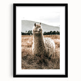 Farmhouse Alpaca in Field Art – Rustic Country Style Wall Decor