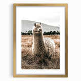 Farmhouse Alpaca in Field Art – Rustic Country Style Wall Decor