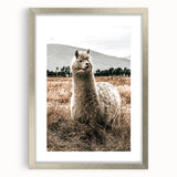Farmhouse Alpaca in Field Art – Rustic Country Style Wall Decor