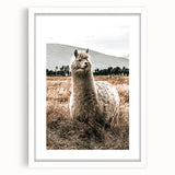 Farmhouse Alpaca in Field Art – Rustic Country Style Wall Decor