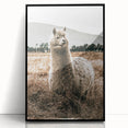 Farmhouse Alpaca in Field Art – Rustic Country Style Wall Decor