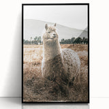 Farmhouse Alpaca in Field Art – Rustic Country Style Wall Decor