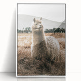 Farmhouse Alpaca in Field Art – Rustic Country Style Wall Decor