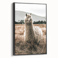 Farmhouse Alpaca in Field Art – Rustic Country Style Wall Decor
